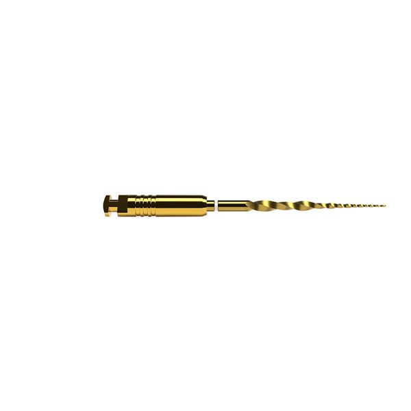 ProTaper Ultimate SX 19mm 6ks