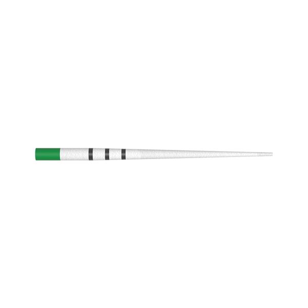 ProTaper Ultimate papírové čepy FX zelené 180ks