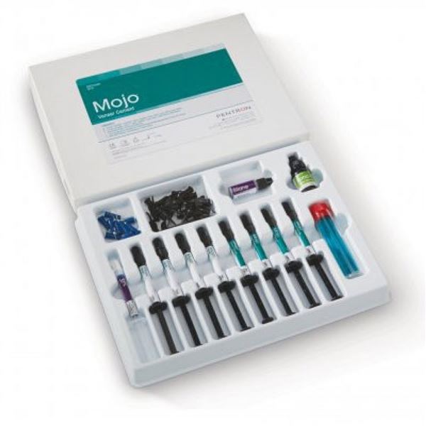 MOJO Veneer Cement Kit