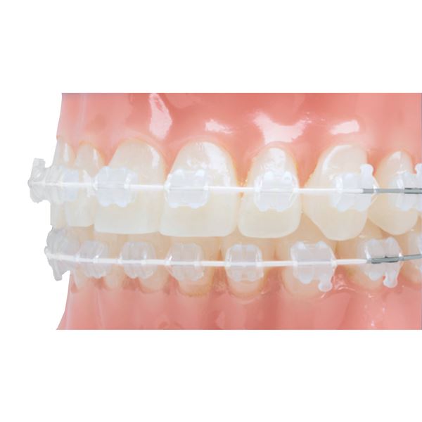 Euroform+ Cosmetic Nerez D kulaté .014 10 ks