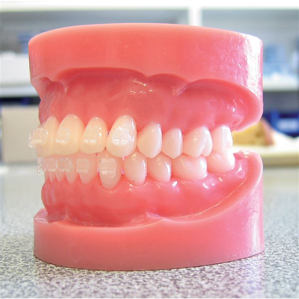 Purity MBT .022 H  4/5 L/P