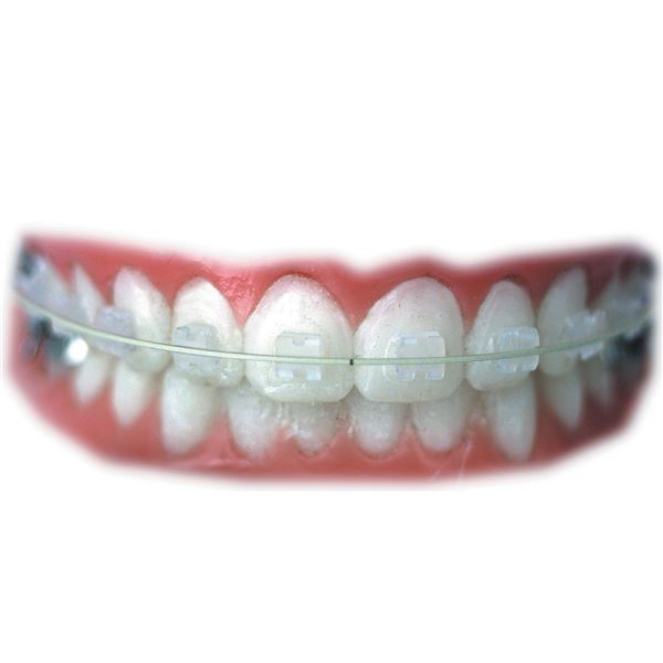 Polar Roth horní P-1 .018