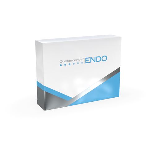 Opalescence Endo kit