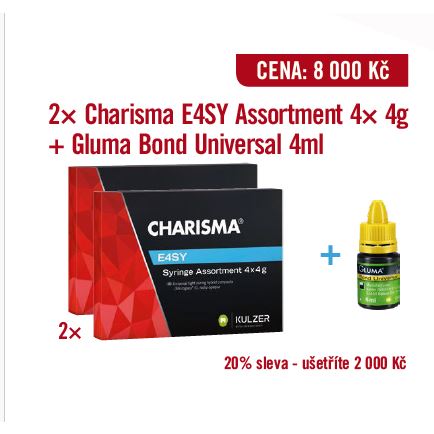 CHARISMA E4SY Assortment 2x set stříkačky 4x4g + GBU 4ml 
