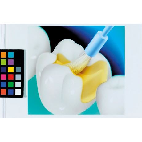 One-Step Plus 6 ml