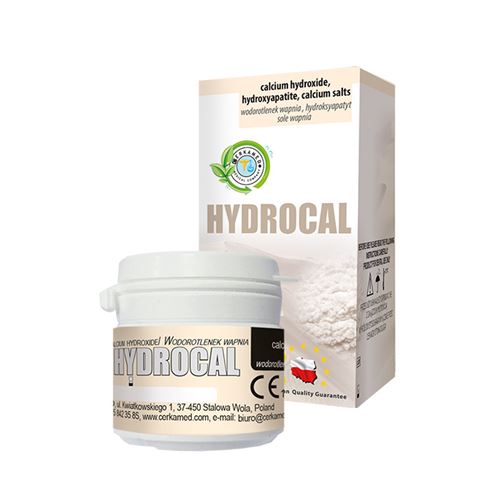 Hydrocal 10 g