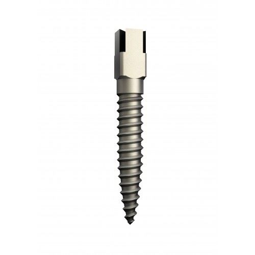 Titanové čepy Dentatus TST-L4