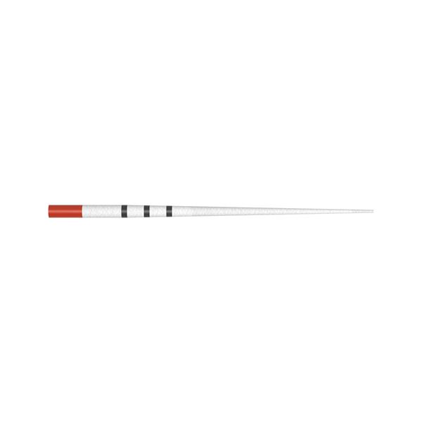 ProTaper Ultimate papírové čepy F2 červené 180ks