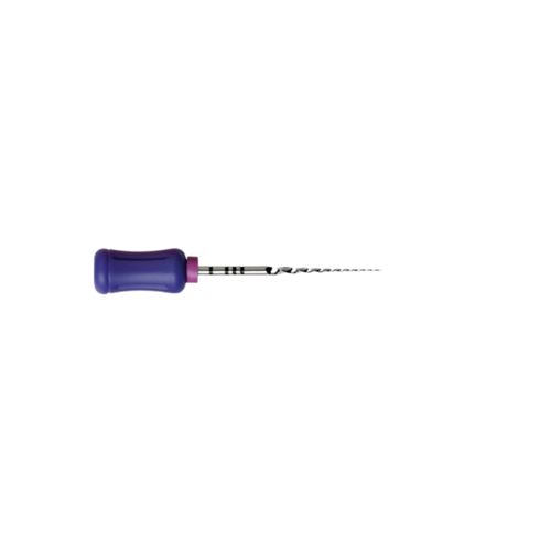 ProTaper ruční S1 - 21 mm, 6 ks fialové