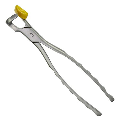 Kleště Physics Forceps Molar EZ1