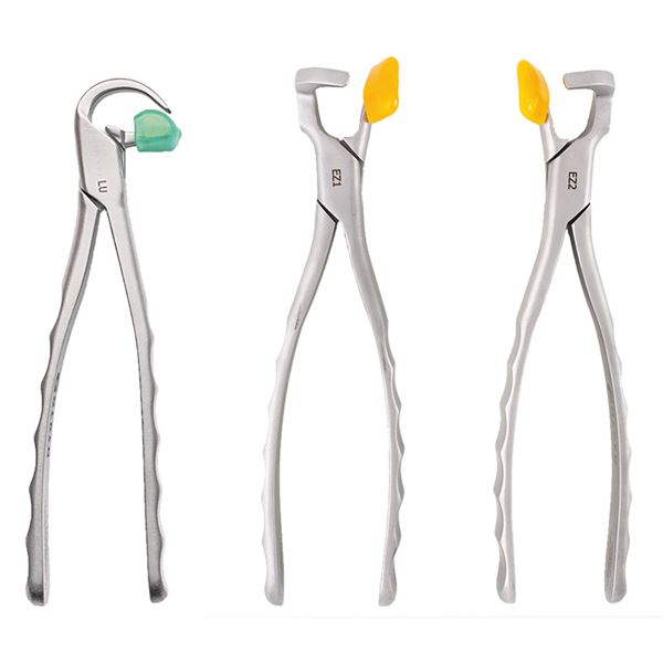Upper Root Tip Extraction System