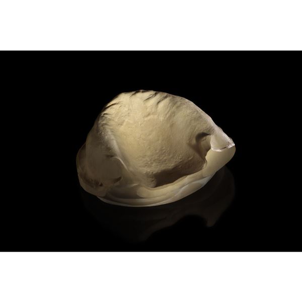 Fast Splint mřížka růžová 80 x 53 mm - 2 ks