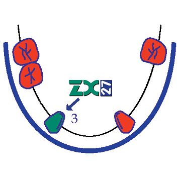 ZX-27 Instrumentárium