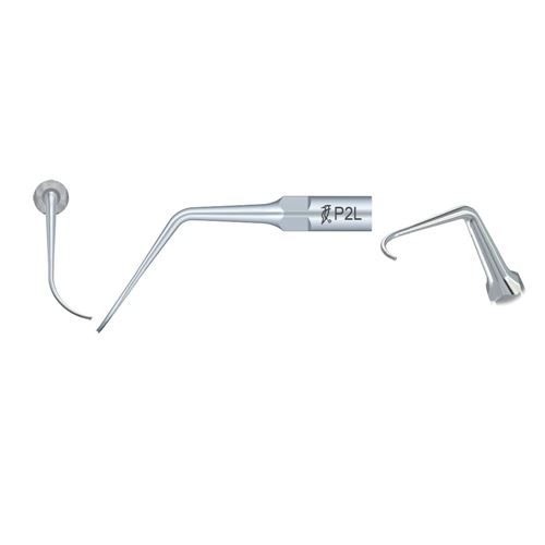 Woodpecker hrot Perio P2L