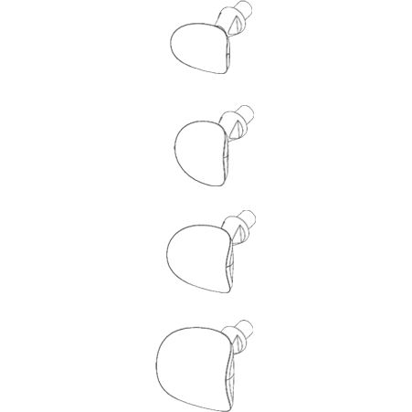 Cervical Matrices Assortment