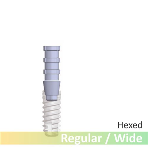 GC Provi abutment Regular/Wide HEX