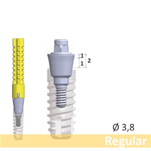 GC Aadva SR abutment Regular EPH1.0 D3.8