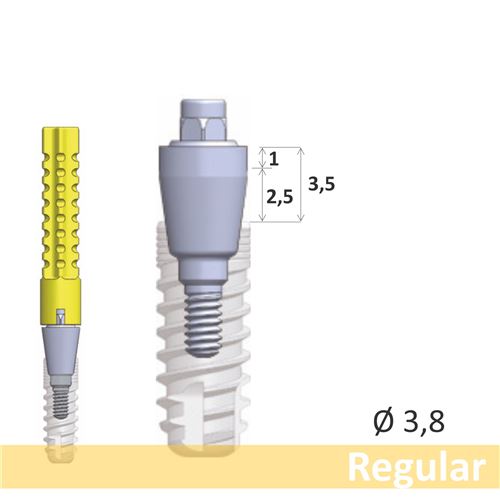 GC Aadva SR abutment Regular EPH2.5 D3.8