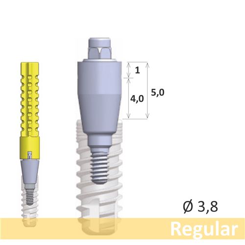 GC Aadva SR abutment Regular EPH4.0 D3.8