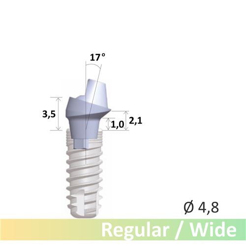 GC Aadva SR abutment 17° R/W EPH1.0 D4.8