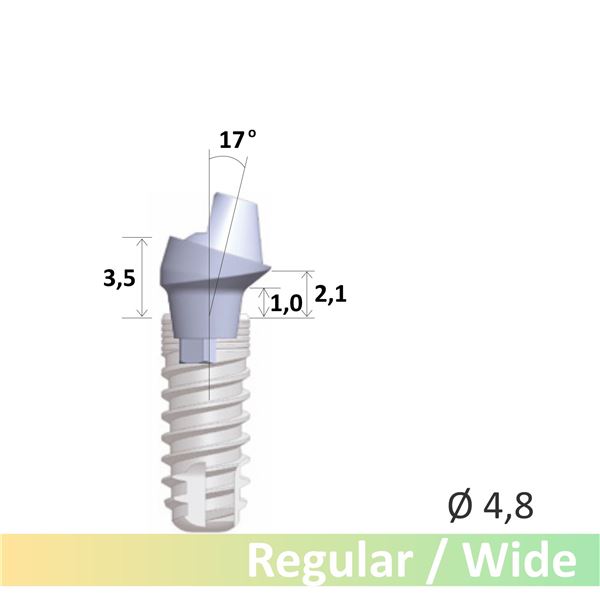 GC Aadva SR abutment 17° R/W EPH1.0 D4.8