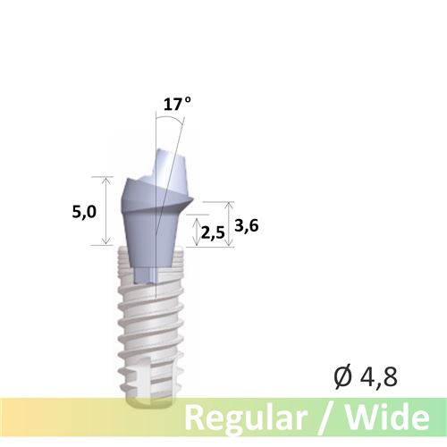 GC Aadva SR abutment 17° R/W EPH2.5 D4.8