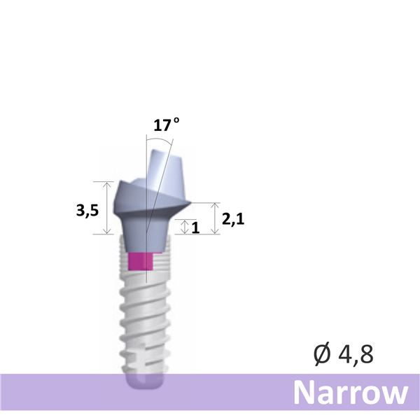 GC SR abutment 17° Narrow  EPH1.0 O4.8