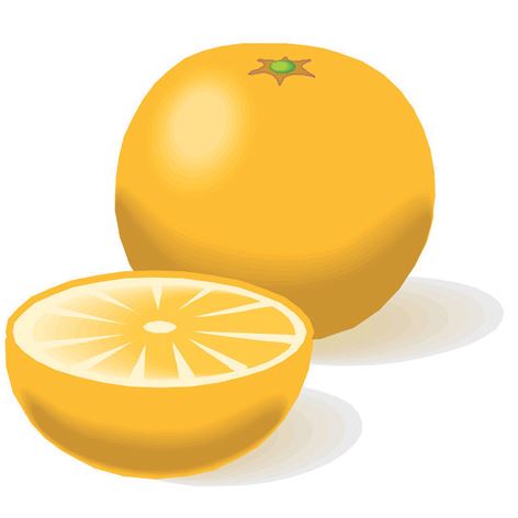 Skusový vosk I, měkký, citron 490 g