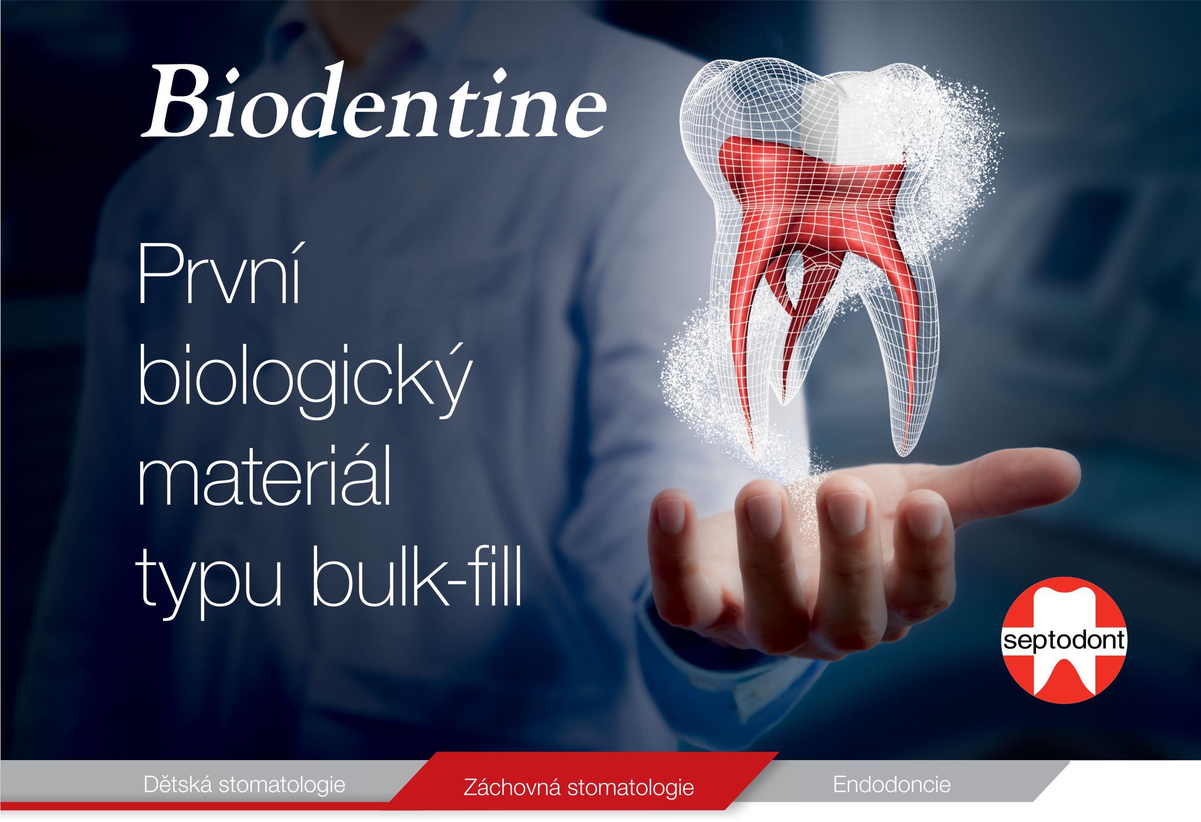 Bioaktívna náhrada dentínu